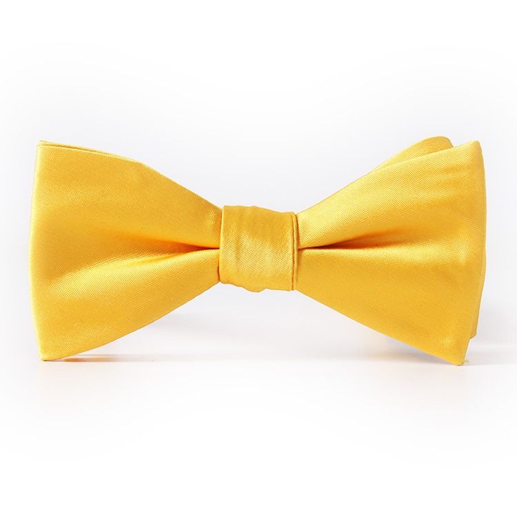 Bowtie Conciso Pure Color Para Homens