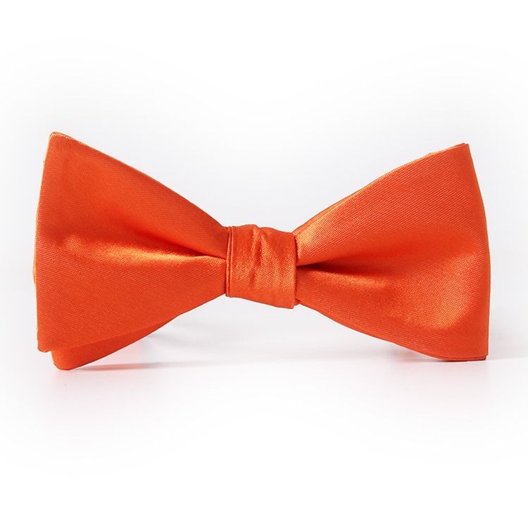 Bowtie Conciso Pure Color Para Homens
