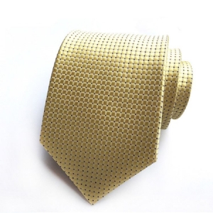 Masculino Wave Point Tie
