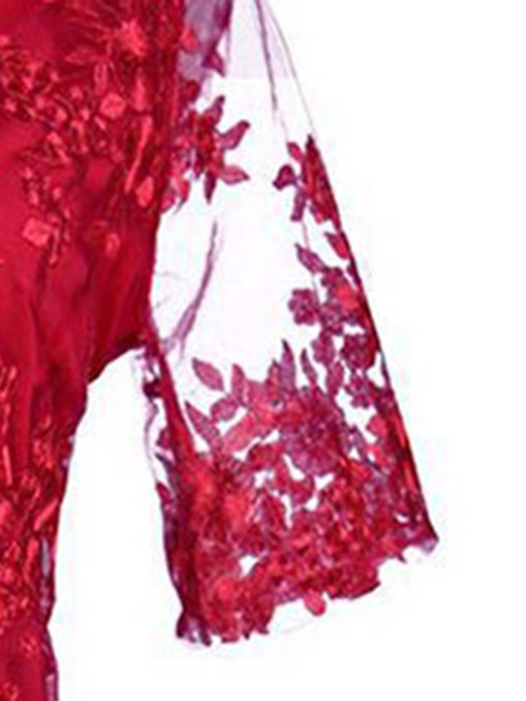 Vestido Bodycon Regular De Renda Com Meia Manga Transparente Tamanho Plus Feminino