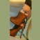 Marrom