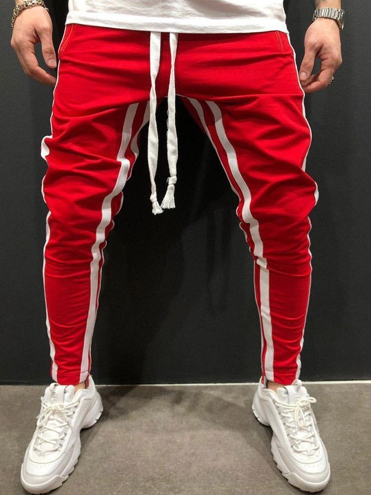 Calça Lápis Listrada Calça Europeia Casual De Amarrar