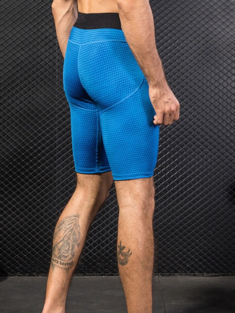 Calças Esportivas Masculinas De Verão Sólido De Secagem Rápida