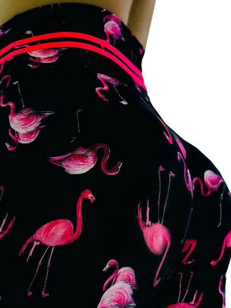Impressão Flamingo Feminino Animal Fitness Ginásio Esportes Yoga Leggings Calças De Yoga Cintura Alta Leggings Tiktok