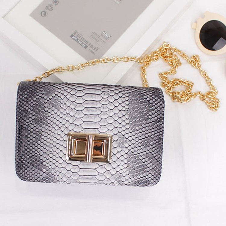 Bolsa Crossbody Retro Serpentine Chain