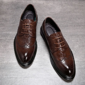 Liso Lace-up Low-cut Superior Round Toe Masculino Oxfords