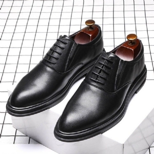 Sapatos Masculinos Com Bico Liso Pontudo E Decotado