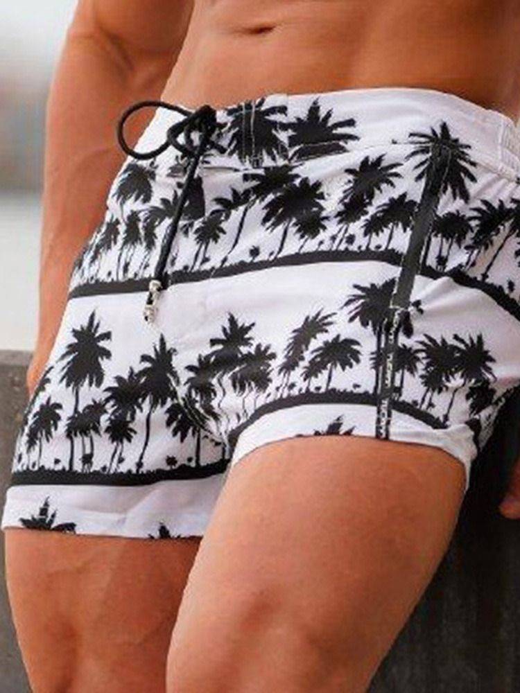 Calção Casual Masculino Com Estampa Fina De Renda