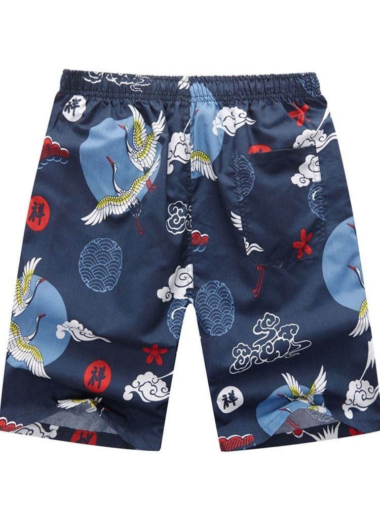 Imprimir Carta Calça Reta Casual Masculina