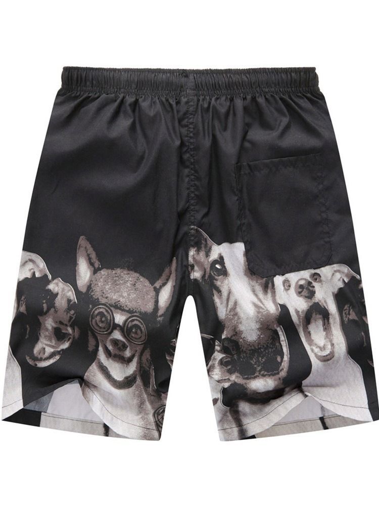 Imprimir Carta Calça Reta Casual Masculina