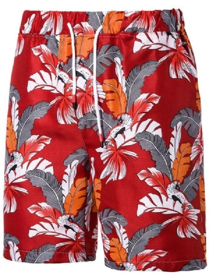 Imprimir Plant Casual Atender Shorts Casual Masculino