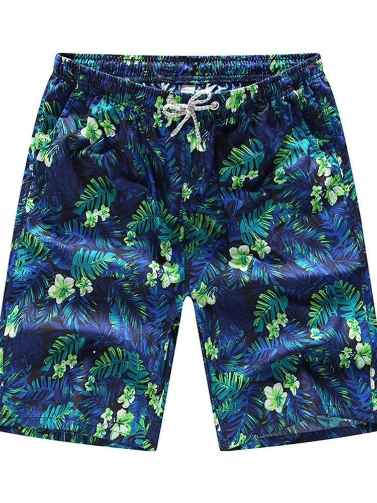 Shorts Masculinos Com Estampa Reta Fina De Renda