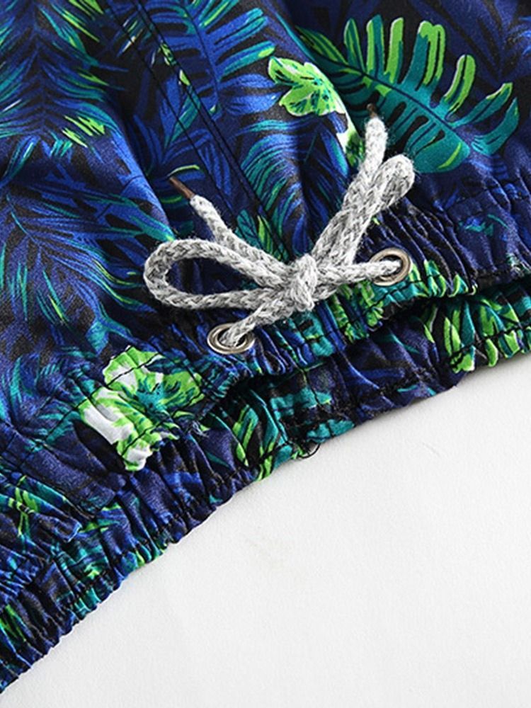 Shorts Masculinos Com Estampa Reta Fina De Renda