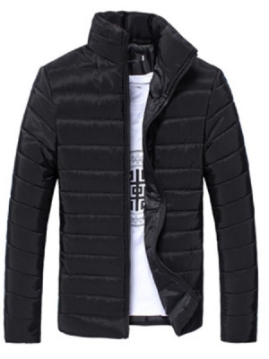Colarinho Liso Cor Lisa Com Zíper Estilo Casual Jaqueta Masculina