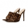Leopardo