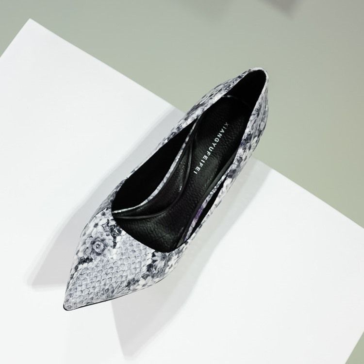 Imprimir Sapatos De Formatura Feminina De Salto Agulha Com Bico Fino